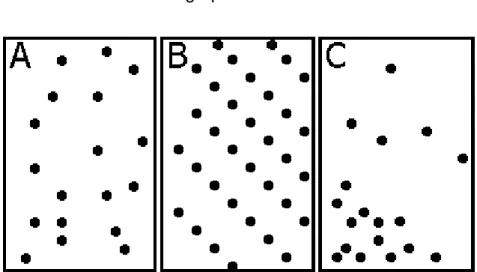 Figura 4. Tipos de distribucion en el espacio de la vegetación (Del Río et al. 