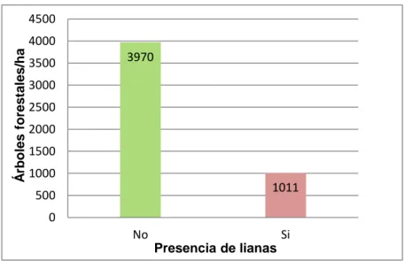 Figura 09. Presencia de lianas en los árboles 