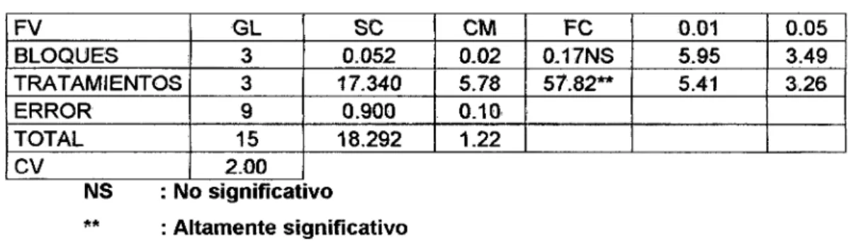 Cuadro 19: ANVA PROTEJNAS (%) 