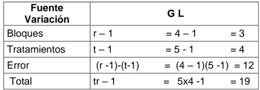 CUADRO Nº 02: Análisis de variancia  Fuente  Variación   G L  Bloques  r – 1                   = 4 – 1            = 3  Tratamientos  t – 1                   = 5 - 1             = 4  Error   (r -1)-(t-1)         =  (4 – 1)(5 -1)  = 12   Total  tr – 1       