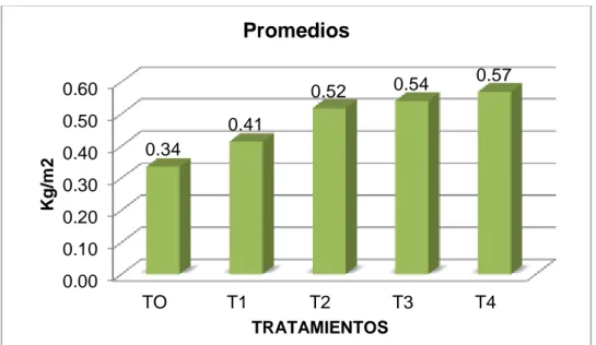 Gráfico Nº 03. Promedio de Materia seca (kg/m2) 