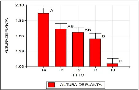 Gráfico Nº 01: Promedios de altura de planta (m) 