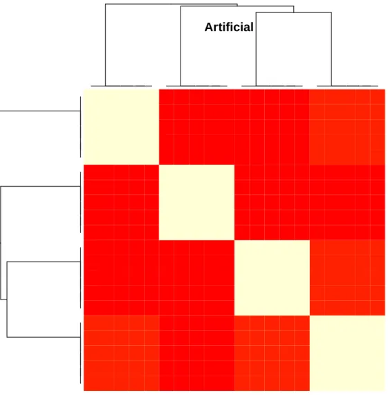 Figura 4: Dataset Artificial: mapa de calor que muestra la correlaci´ on en- en-tre las variables del dataset (s´ olo un subconjunto del total)