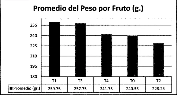 Cuadro  No  05:  Análisis  de  varianza  de  la  longitud  del  fruto  (cm.)  por  planta  de  pepino (Cucumis sativus L.), evaluados al final  del experimento