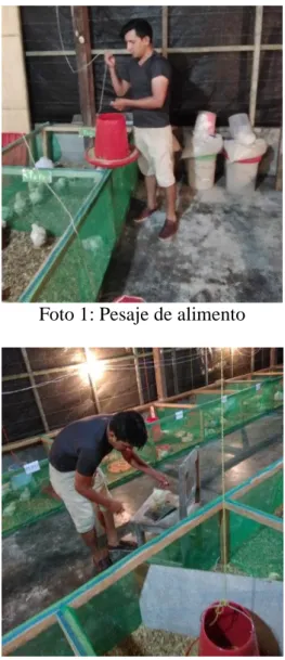 Foto 1: Pesaje de alimento 