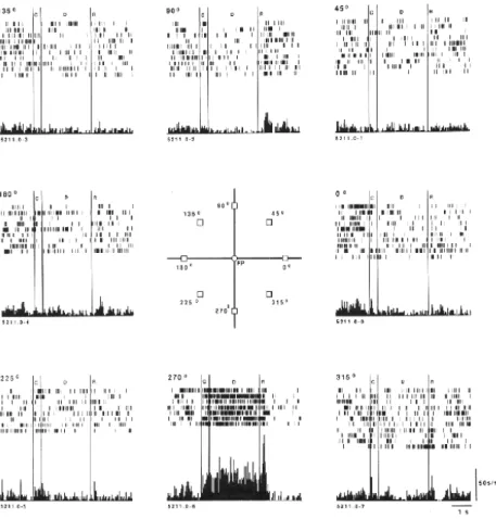 Figura 3.1: Actividad dilatoria de las neuronas de la corteza prefrontal de un primate