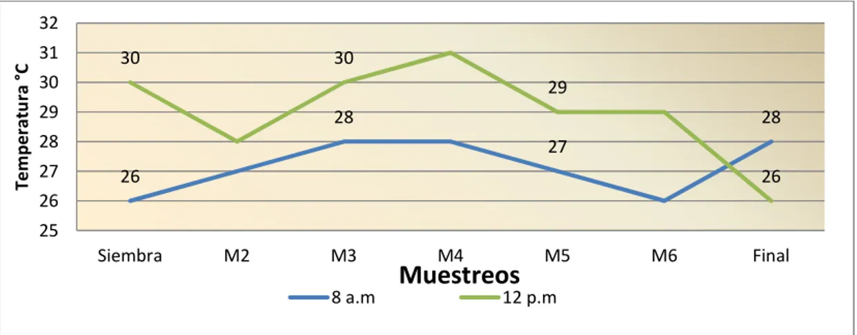 Figura  4.  Valores  de  la  temperatura  del  agua,  registrados  en  el  cultivo  de  gamitanas,  Colossoma  macropomum  cultivadas  en  tres  densidades  de  siembra  durante  127 días de estudio