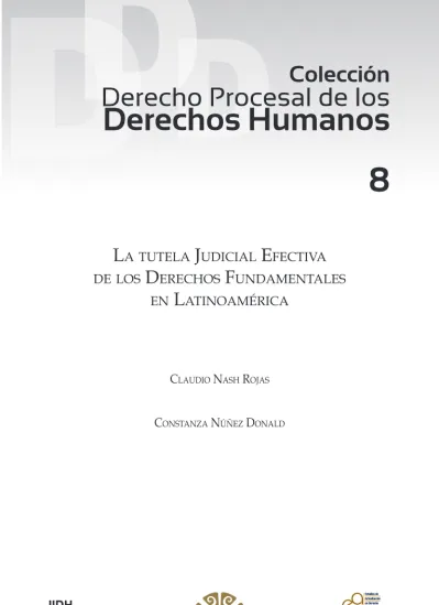 Colección Derecho Procesal De Los Derechos Humanos La Tutela Judicial Efectiva De Los 2728