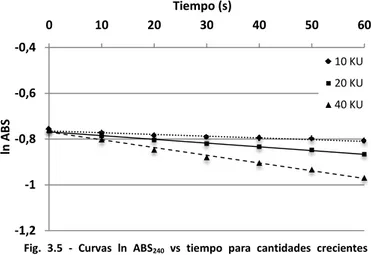 Fig.  3.5  -  Curvas  ln  ABS 240   vs  tiempo  para  cantidades  crecientes  de  Catalasa  Bovina  en  el  medio  de  reacción