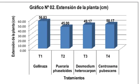 Gráfico Nº 02. Extensión de la planta (cm)