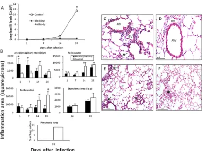 Fig 3. Effect of blocking HMGB1 during early infection on bacilli loads and inflammation