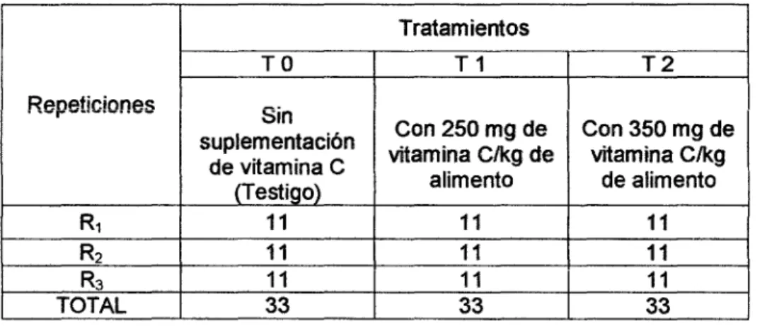 Cuadro 4.  Distribución de los pollos por tratamiento. 