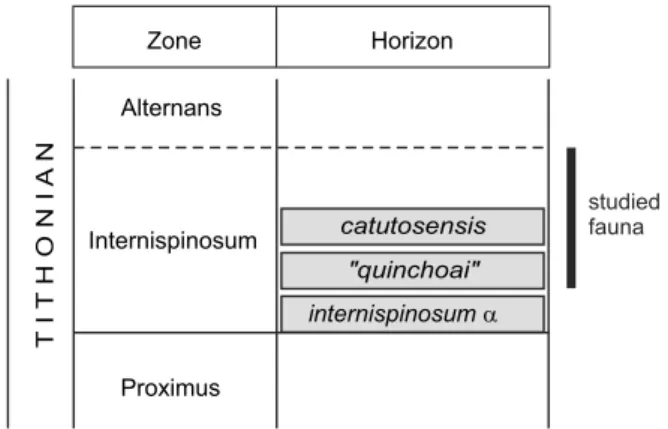 Figure 5. Chronostratigraphic range in which the level of the studied  fauna  from  Cuchillo  Curá  is  included
