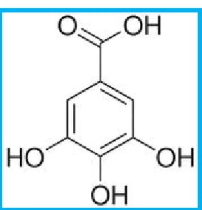 Cuadro N° 01: Estructura de un Flavonoide.