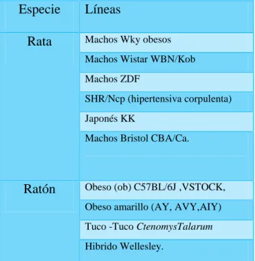TABLA  Nº  05:  Algunos  modelos  animales  que  desarrollan  DM2  y  moderada   hiperglicemia 