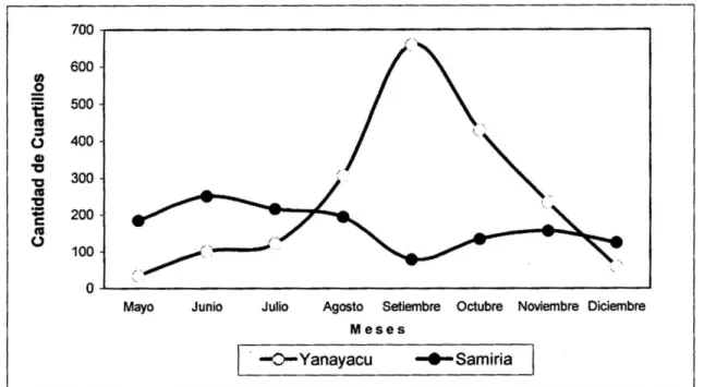 Figura 04. Cantidad total de cuartillos extraídos de aguaje por las familias, cuenca  Yanayacu y Samiria, RNPS