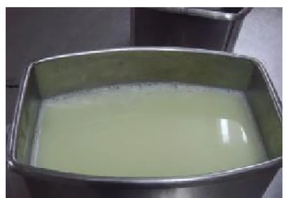 TABLA N° 03. REQUISITOS MICROBIOLOGICOS DE LA LECHE 
