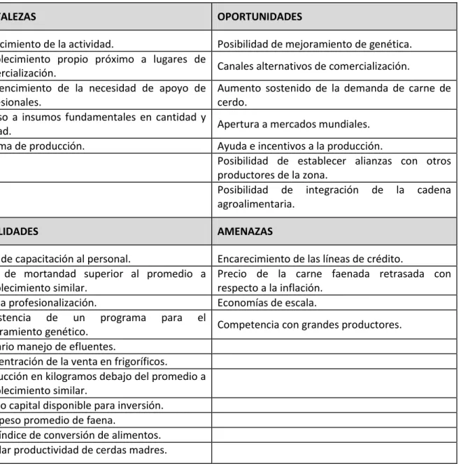 Tabla 1. Análisis FODA. 