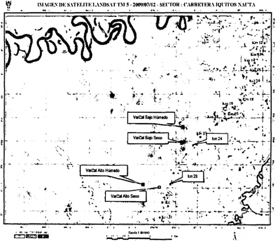 Figura  01:  Mapa  de  localización  del  área  de  estudio  en  la  Reserva  Nacional  Allpahuayo - Mishana,  San Juan  Bautista,  Loreto,  Perú