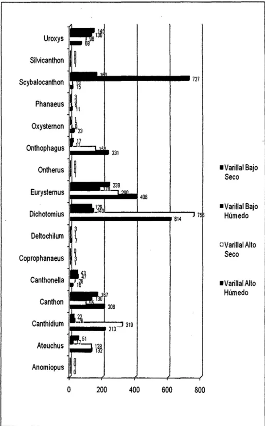 Figura  07:  Abundancia  de  géneros  de  coleópteros  coprófagos  en  los  cuatro  tipos  de  varillales  de  la  RNAM  kms  24.6  y  28  de  la  Carretera  lquitos-Nauta,  Perú
