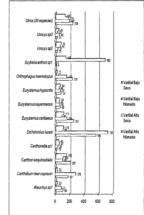 Figura 08:  Número  de  individuos  de  coleópteros  coprófagos  por  especie  en  los  cuatro  tipos  de  varillales  de  la  RNAM  kms  24.6  y  28  de  la  Carretera !quitos - Nauta,  Perú