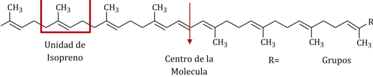 Fig. 01. Estructura polienica de carotenoides.  