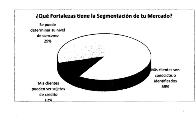 Cuadro  ~  06:  Resultados  de  la  Encuesta  sobre  las  fortalezas  en  segmentación  de  tu mercado 