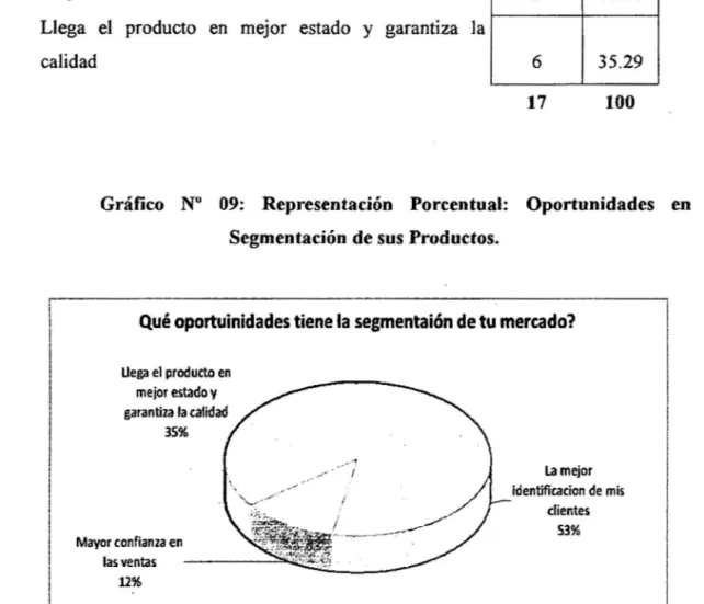 Gráfico  N&#34;  09:  Representación  Porcentual:  Oportunidades  en  la  Segmentación de sus Productos