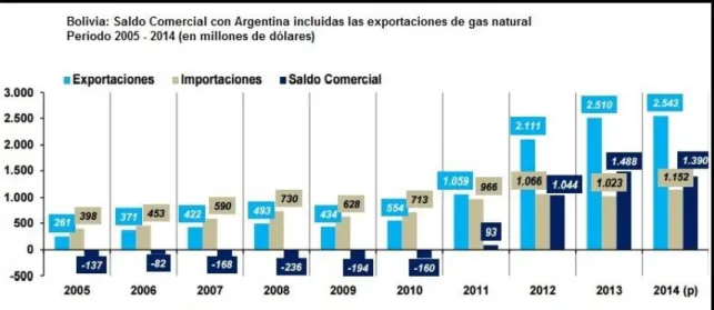 GRÁFICO 12 