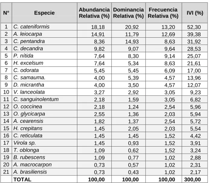 Cuadro 6. Índice de Valor de Importancia del área de estudio 