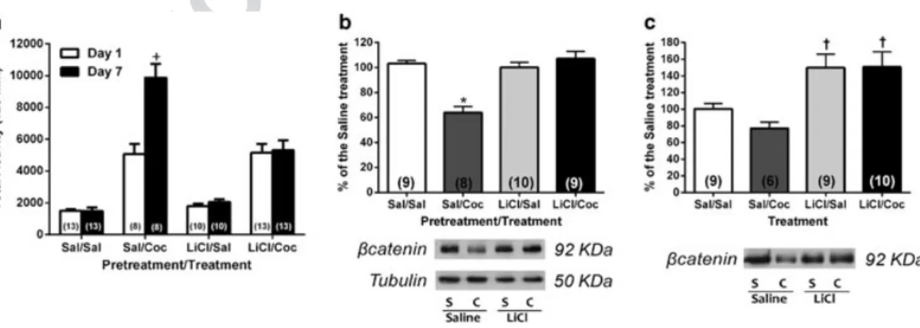 Figure 3 Preventing β-catenin reduction with systemic Lithium Chloride blocks cocaine-induced behavioral sensitization