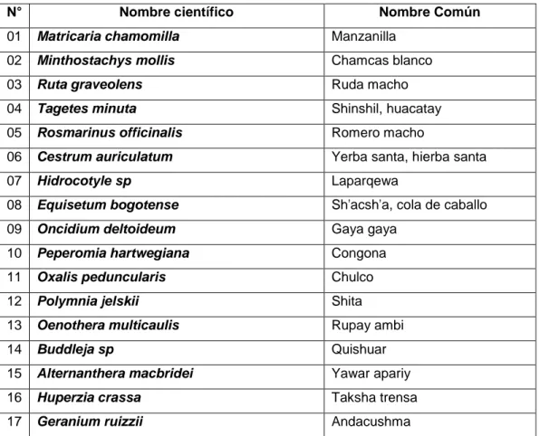 Tabla 8.    Especies  medicinales  más  usadas  por  la  población  del  caserío  Chilincaga.