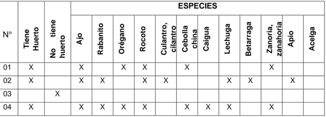 Tabla 9.    Cantidad de huertos familiares y diversidad de hortalizas en el caserío  Chilincaga