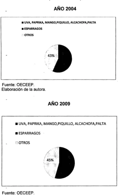 GRÁFICO No  8 