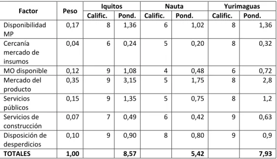 Cuadro N°11. Factores de localización. 