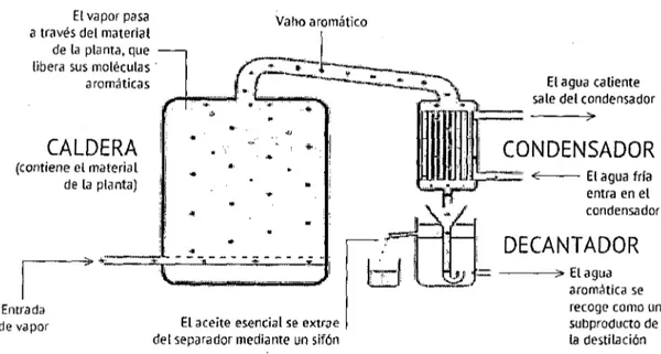 Figura 06 - Diagrama de la destilación a Vapor 