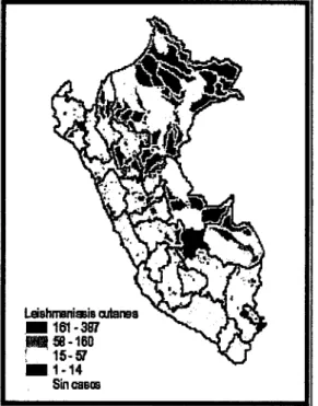 Figura N°18. Mapa de estratificación de riesgo de la leishmaniasis cutánea,  SE  1-52, 2007