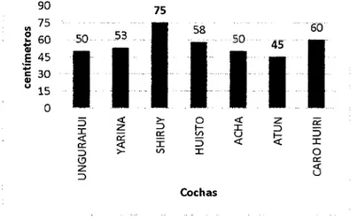 Figura N° 02. Transparencia del agua  de las cochas en  estudio 