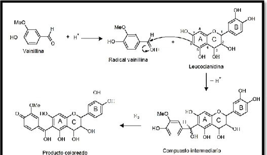 Figura N° 15: Mecanismo de reacción de vainillina con taninos. 
