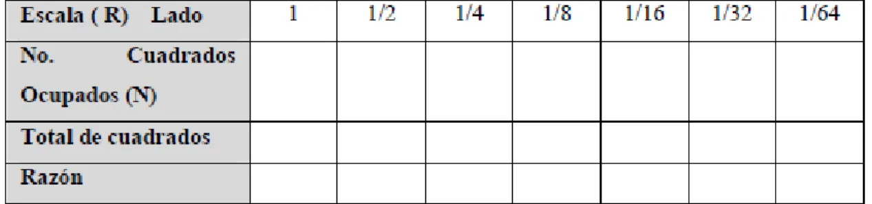 Figura 9.Tabla de Registro del Conteo (Rojas, Orjuela,2006) 