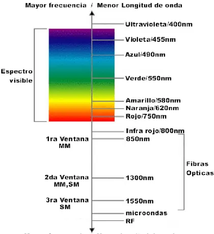Figura 05: Espectro de luz y la frecuencia de longitud de onda. 