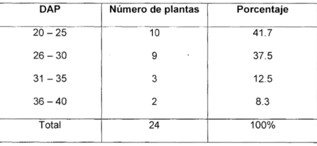 Cuadro  11:  DAP  de  las  plantas  de  chambira  en  la  comunidad  de  Santa  Ana  1  zona 