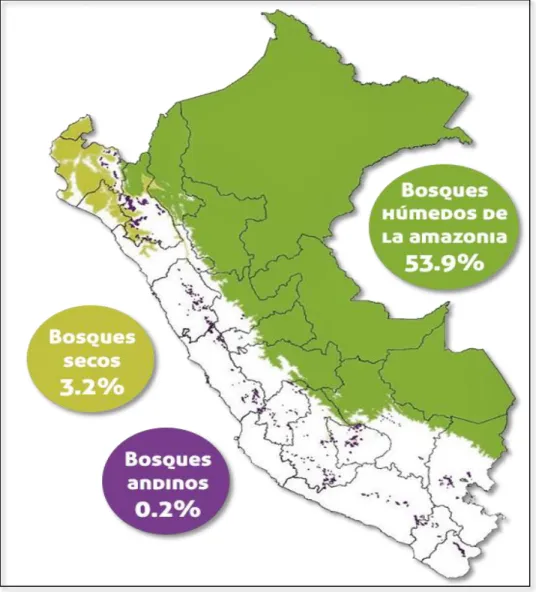 Figura 1. Superficie y tipos de bosques en el Perú (Geobosques 2018). 