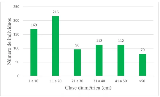 Gráfico N° 01: Clase diamétrica de especies en las calles de Iquitos. 