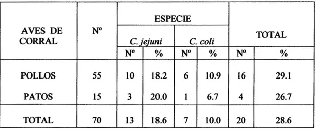 Tabla N° 01: Aislamiento y distribución de las especies termotolerantes de  Campylobacter, en aves de corral