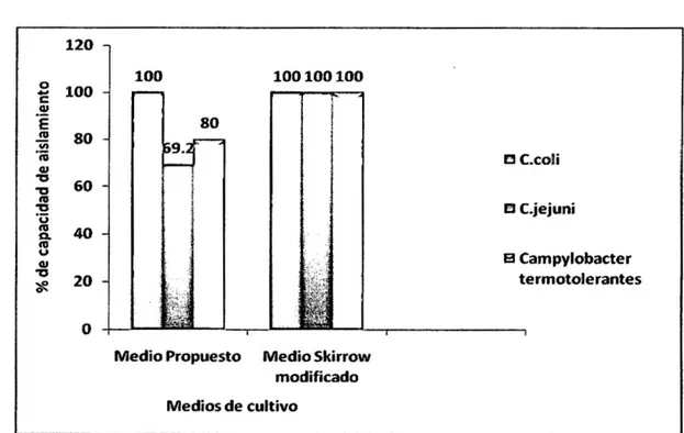 Gráfico N° 02: Promedio de la capacidad de aislamiento de las cepas de  Campylobacter termotolerantes en el Skirrow modificado y 