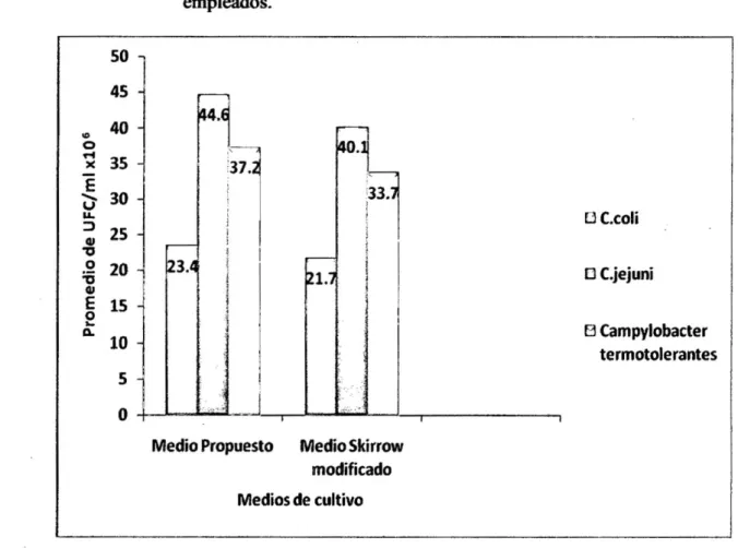 Gráfico N° 03: Promedios de la capacidad de crecimiento de las especies de  Campylobacter termotolerantes de acuerdo al medio de cultivos 