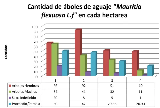 Figura  Nº1:  Representación  gráfica  de  árboles  de  aguaje  considerando  la  cantidad total de acuerdo al sexo de la planta y sus respectivos promedios  por parcela en la comunidad CametsaQuipatsi – Suaya