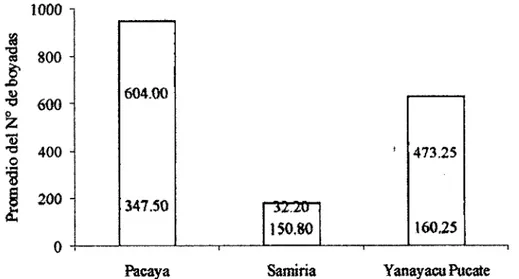 Figura 09.  Conteo del  número  de  boyadas  de  paiche en  la  RNPS  entre  los  años  1994 al  2005