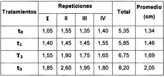 Cuadro  0 5 : Datos del incremento promedio en altura  ( c m . ) , para  el ANVA  Tratamientos  Repeticiones  Total  Promedio  (cm) Tratamientos  I  II  III  IV  Total  Promedio (cm)  to  1,05  1,55  1,35  1,40  5,35  1,34  t i  1,40  1,45  1,45  1,55  5,8